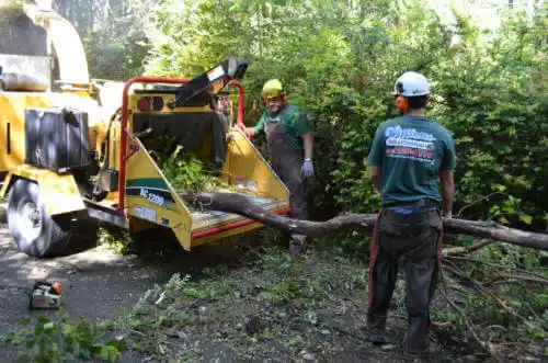 tree services East Moline